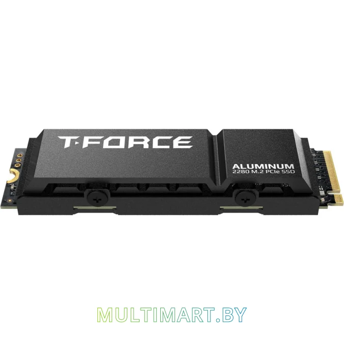 SSD диск Team T-Force G70 PRO 1TB (TM8FFH001T0C128)